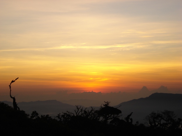 Sunrise from Horton's Plains Sri Lanka
