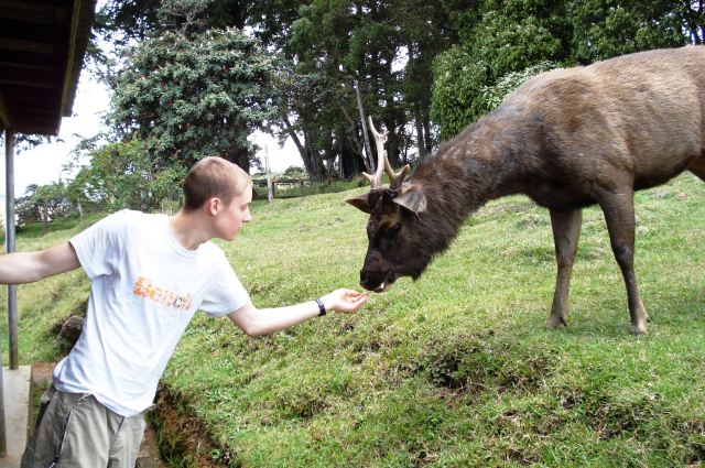 Hand-feeding deer on Horton Plains, Sri Lanka-